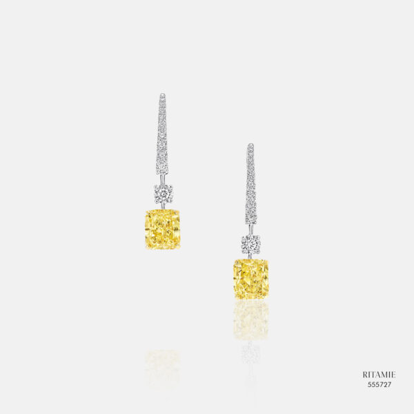Earrings 555727