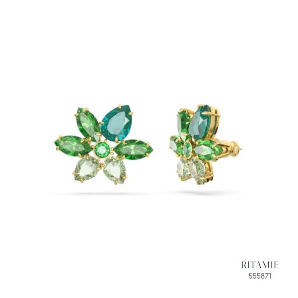 Earrings 555871